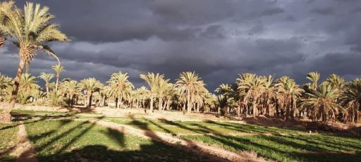 عکس مبارکه