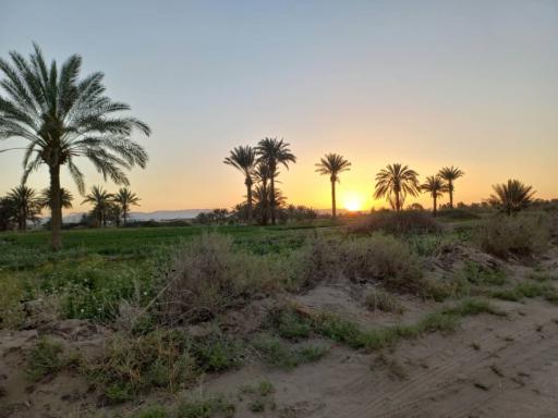 مبارکه