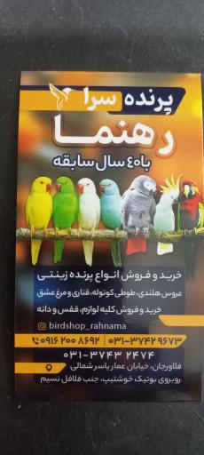 عکس پرنده سرای رهنما