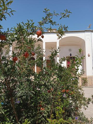 عکس هتل سنتی نگین