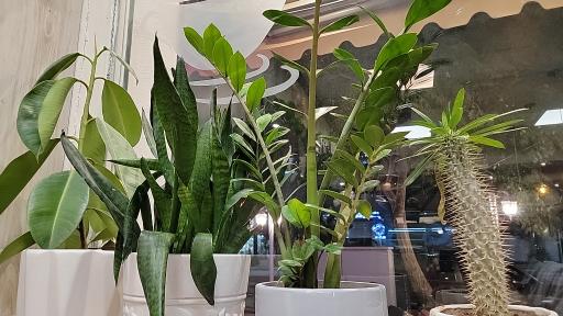 عکس کافه قنادی دل آوا