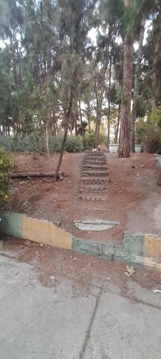 عکس هتل بلوط تهران