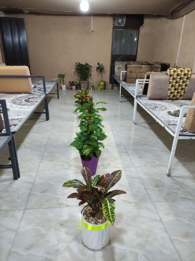 عکس کافه رستوران نیو