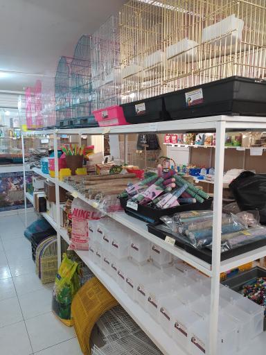 عکس فروشگاه لوازم پرنده بیزیم طوطی