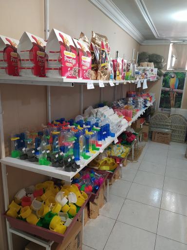 عکس فروشگاه لوازم پرنده بیزیم طوطی