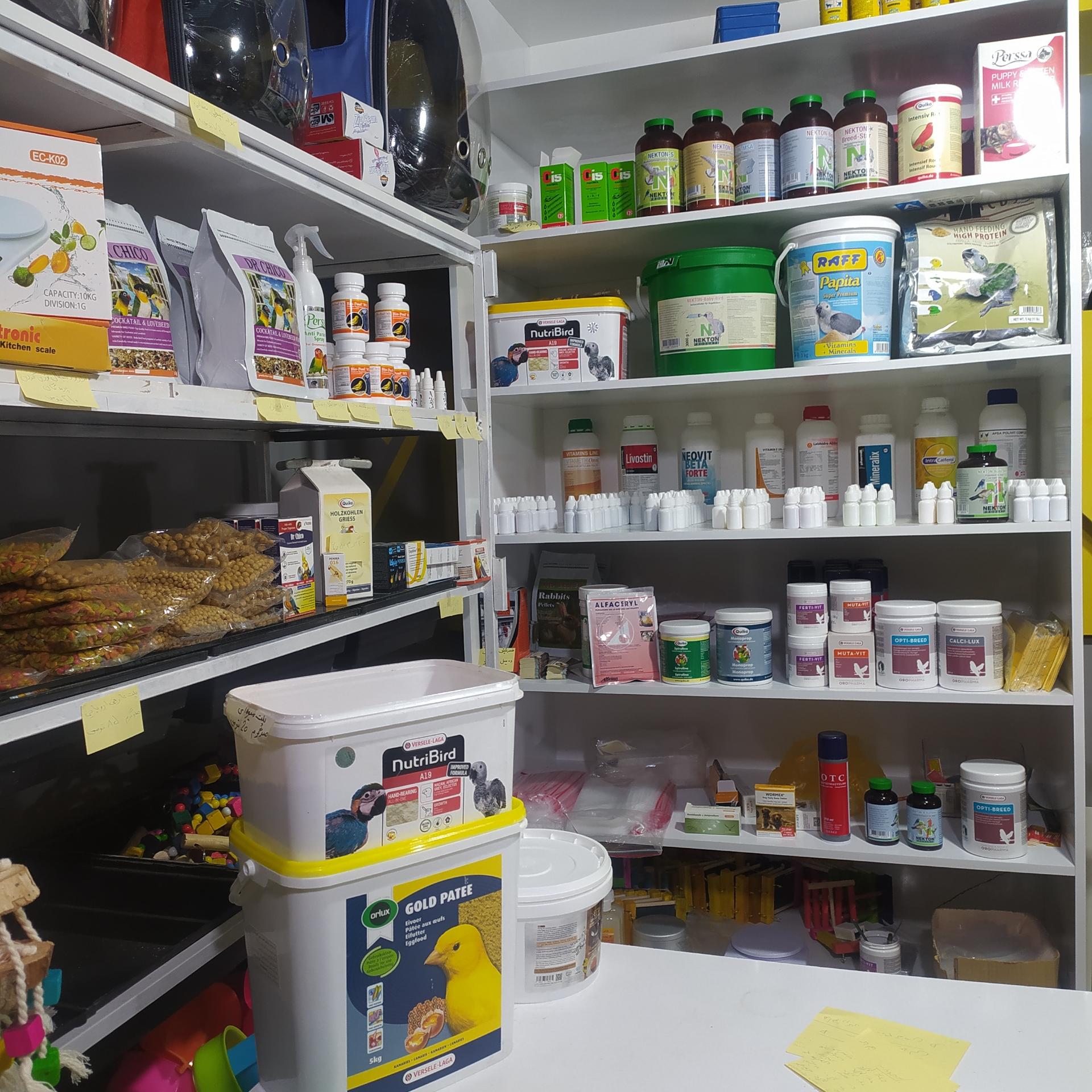 عکس فروشگاه لوازم پرنده بیزیم طوطی
