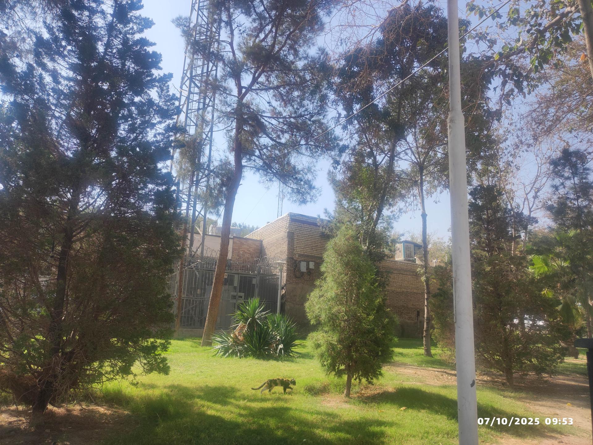 عکس فضای سبز 