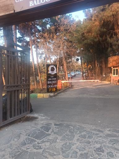 عکس هتل بلوط تهران