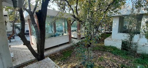 عکس باغ رستوران شالیزه