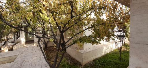 عکس باغ رستوران شالیزه