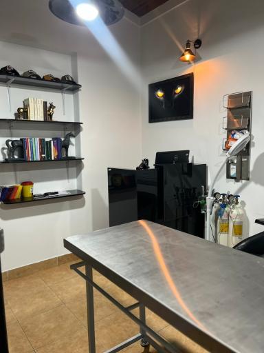 عکس پلی کلینیک دامپزشکی ویوان