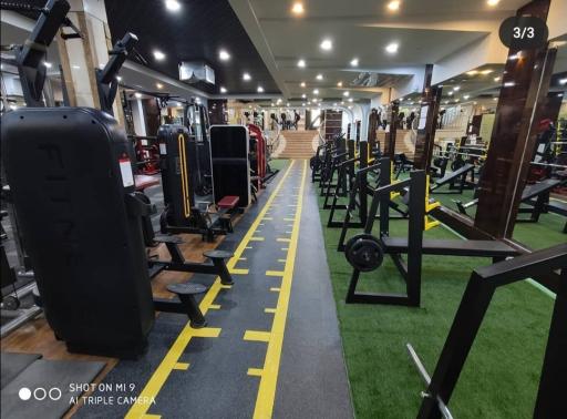 عکس مجموعه ورزشی پارک تندرستی