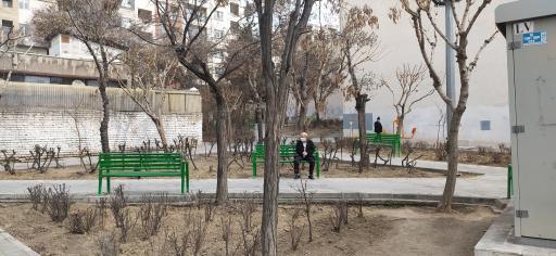 عکس بوستان پدیده