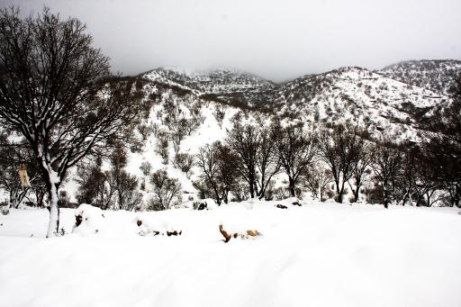 عکس تنگه ارغوان