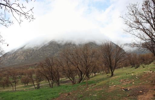 عکس تنگه ارغوان