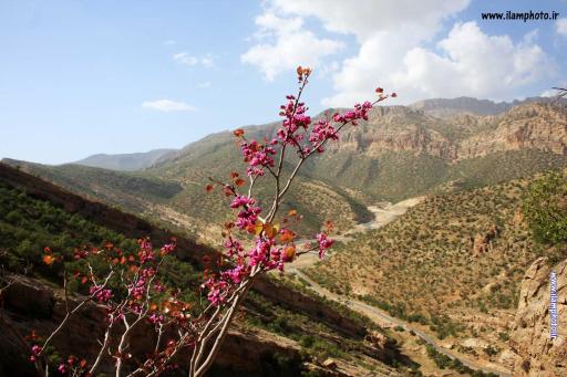 عکس تنگه ارغوان