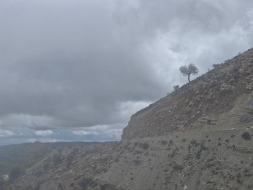 عکس تنگه ارغوان