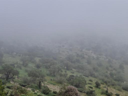 عکس تنگه ارغوان