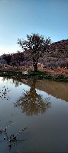 عکس تنگه ارغوان