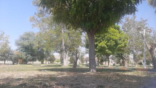 عکس پارک بوانات