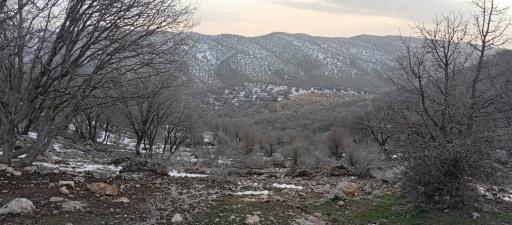 عکس تنگه ارغوان