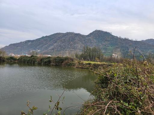 استخر ماهی طبیعی لیلاکوه