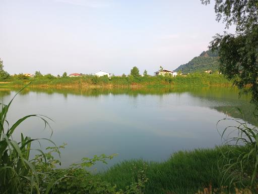 استخر ماهی طبیعی لیلاکوه