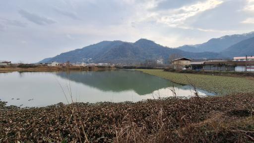 عکس استخر ماهی طبیعی لیلاکوه