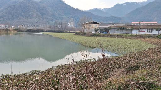 عکس استخر ماهی طبیعی لیلاکوه