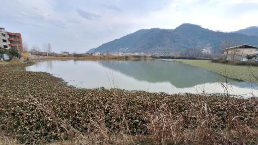 عکس استخر ماهی طبیعی لیلاکوه