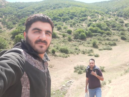 عکس اینی مشه سی