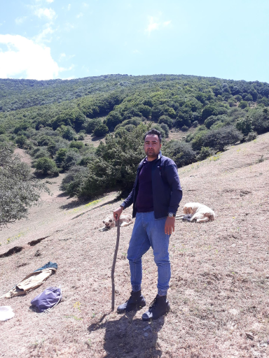 عکس اینی مشه سی