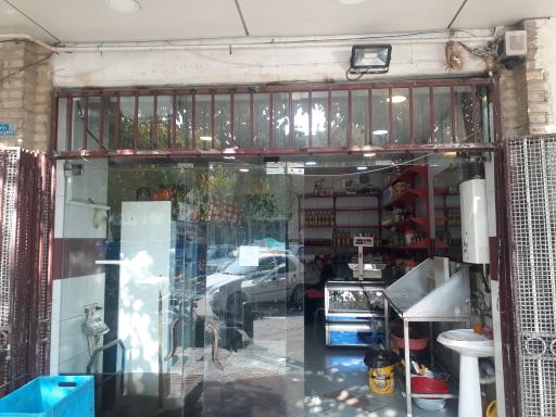 عکس مرغ و ماهی شاهین