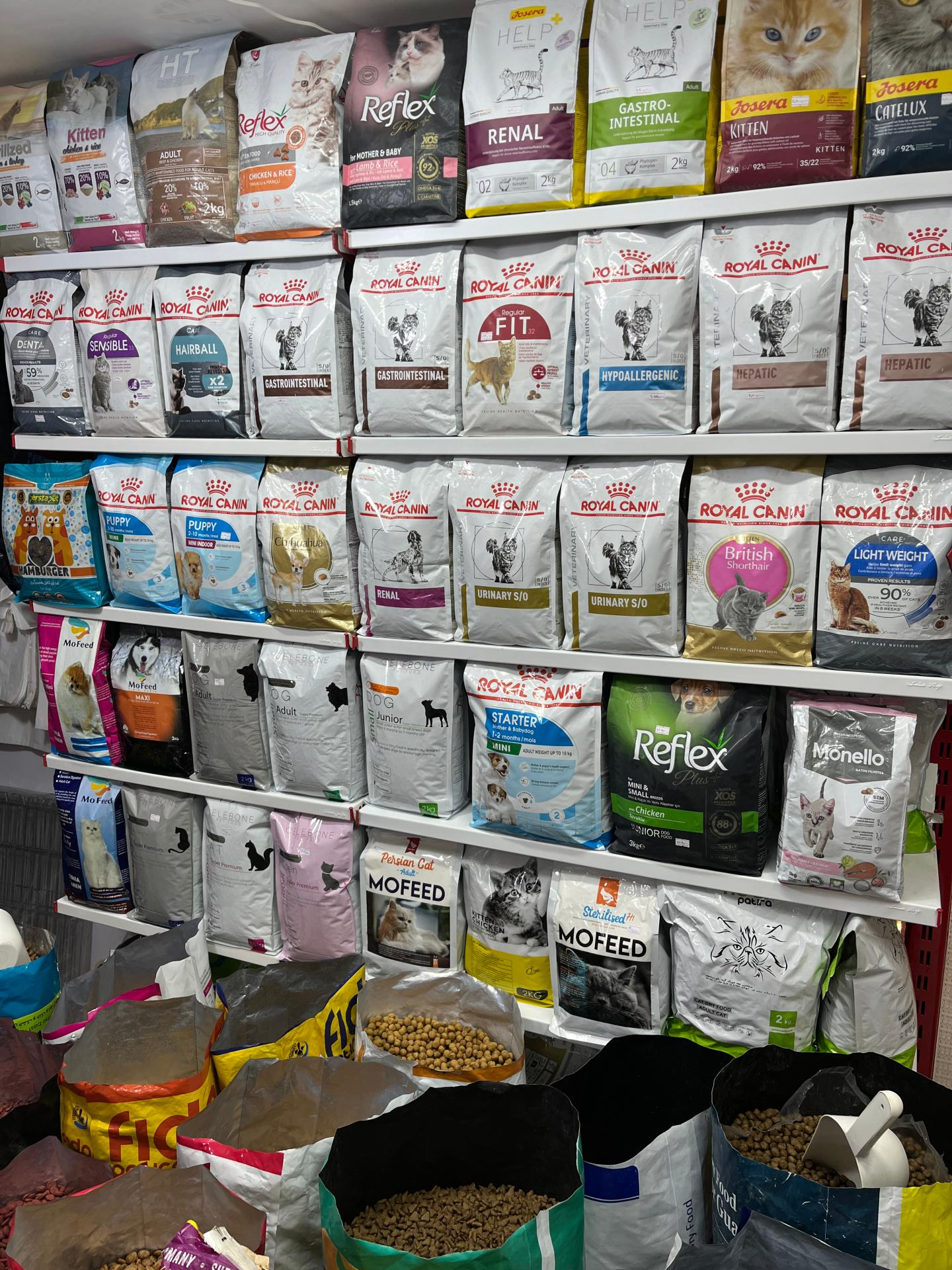 عکس پت شاپ مشهد 