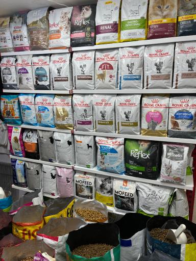 عکس پت شاپ مشهد 