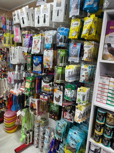 عکس پت شاپ مشهد 