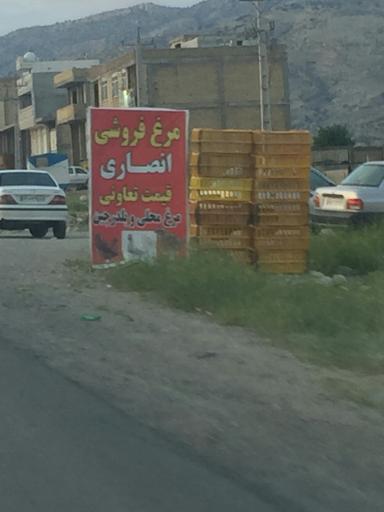 عکس مرغ فروشی انصاری