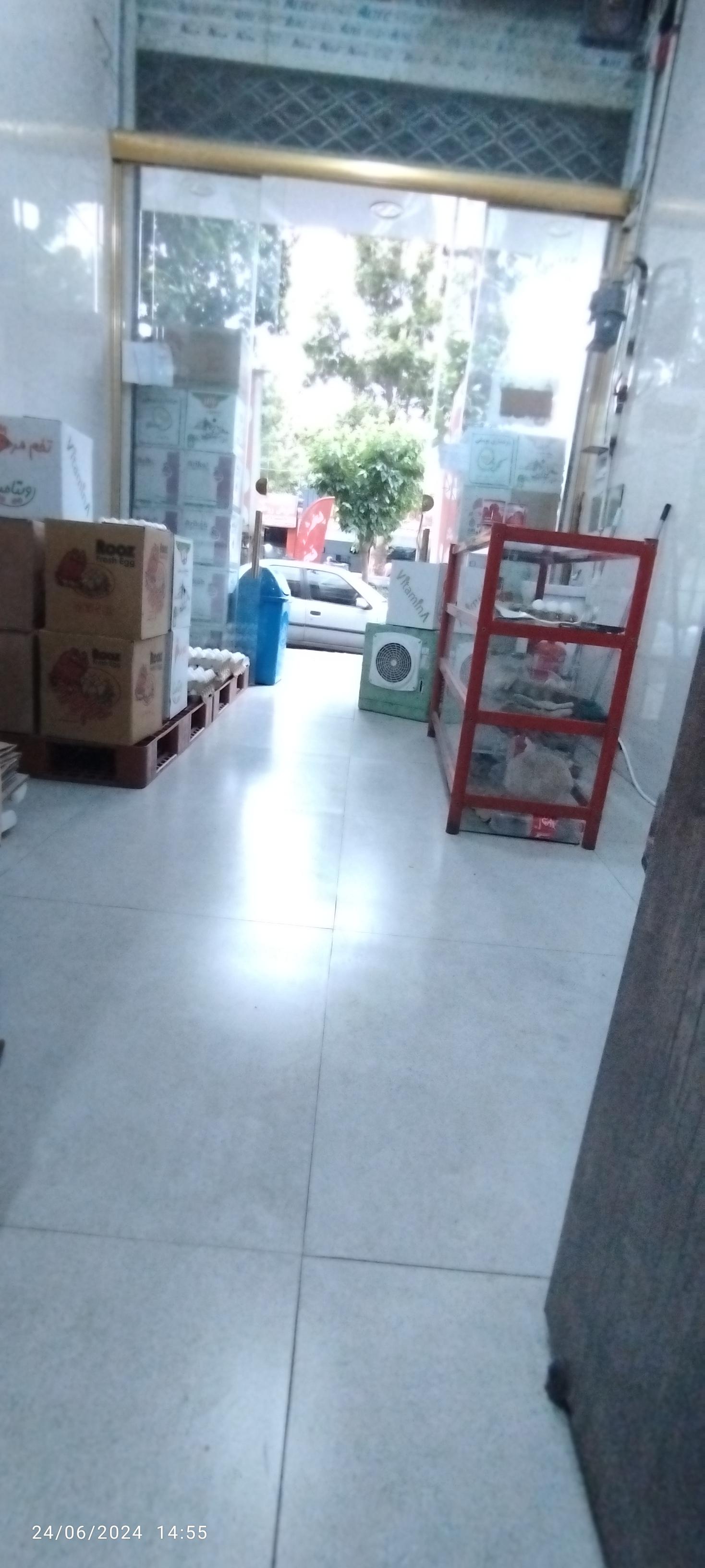 عکس پخش تخم مرغ میلاد