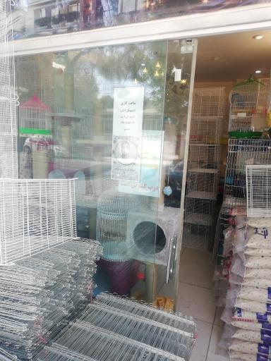 عکس پت شاپ مشهد 