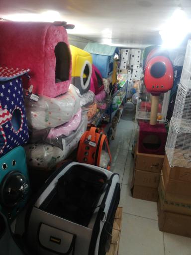 عکس پت شاپ مشهد 