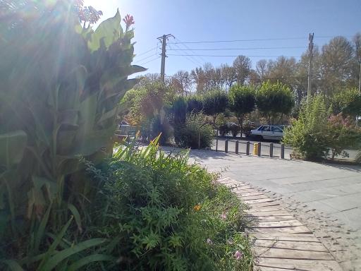 بوستان امید