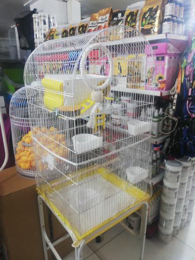 عکس پت شاپ مشهد 