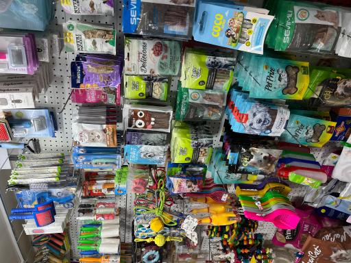 عکس پت شاپ مشهد 