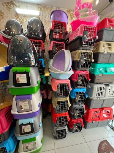 عکس پت شاپ مشهد 