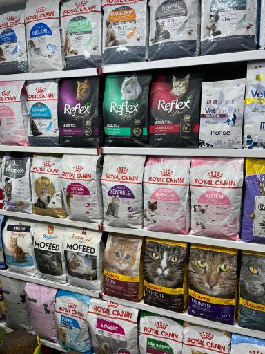 عکس پت شاپ مشهد 