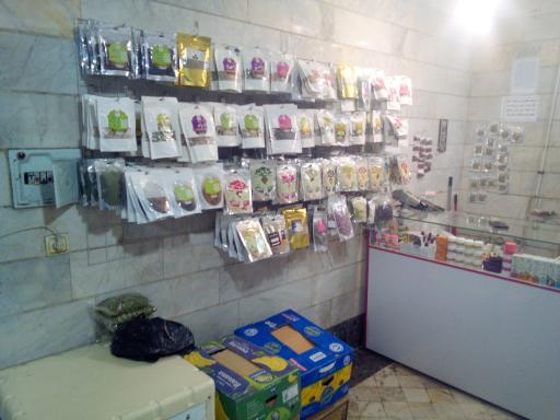 عکس عطاری شفابخش