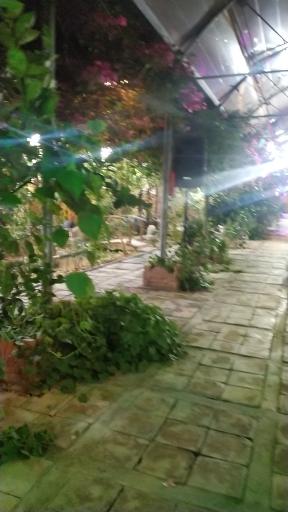 عکس باغ رستوران کلبه راز
