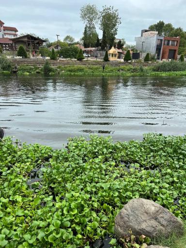 عکس رودخانه سالور چمخاله 