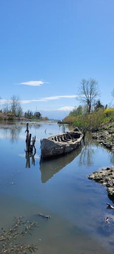 عکس رودخانه سالور چمخاله 