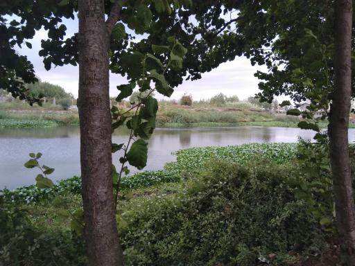 عکس رودخانه سالور چمخاله 